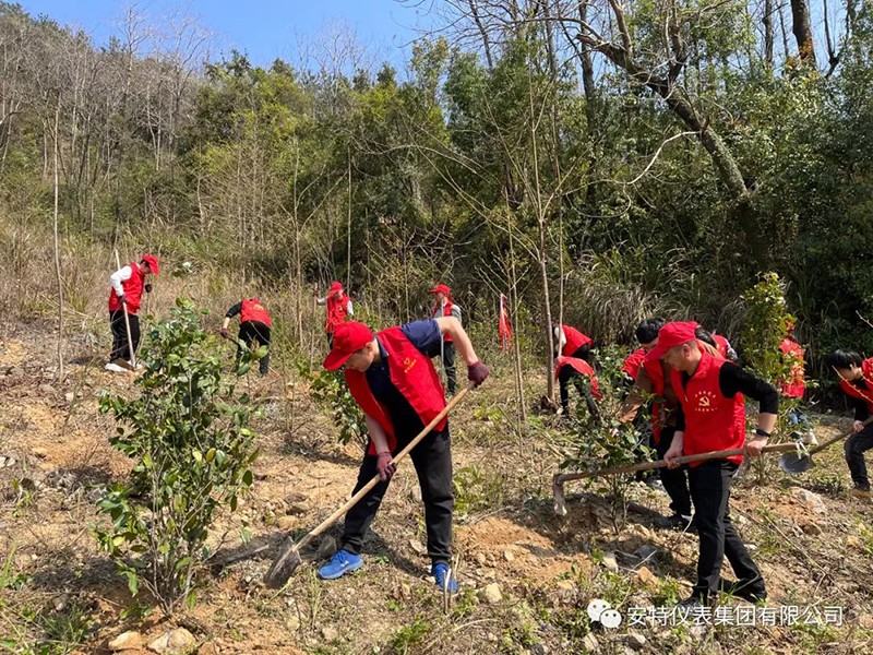 安特儀表集團有限公司