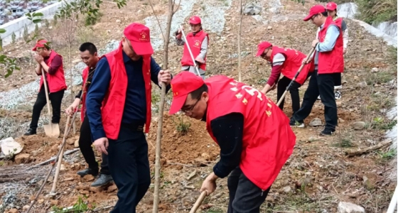 村企共建，共植先鋒林